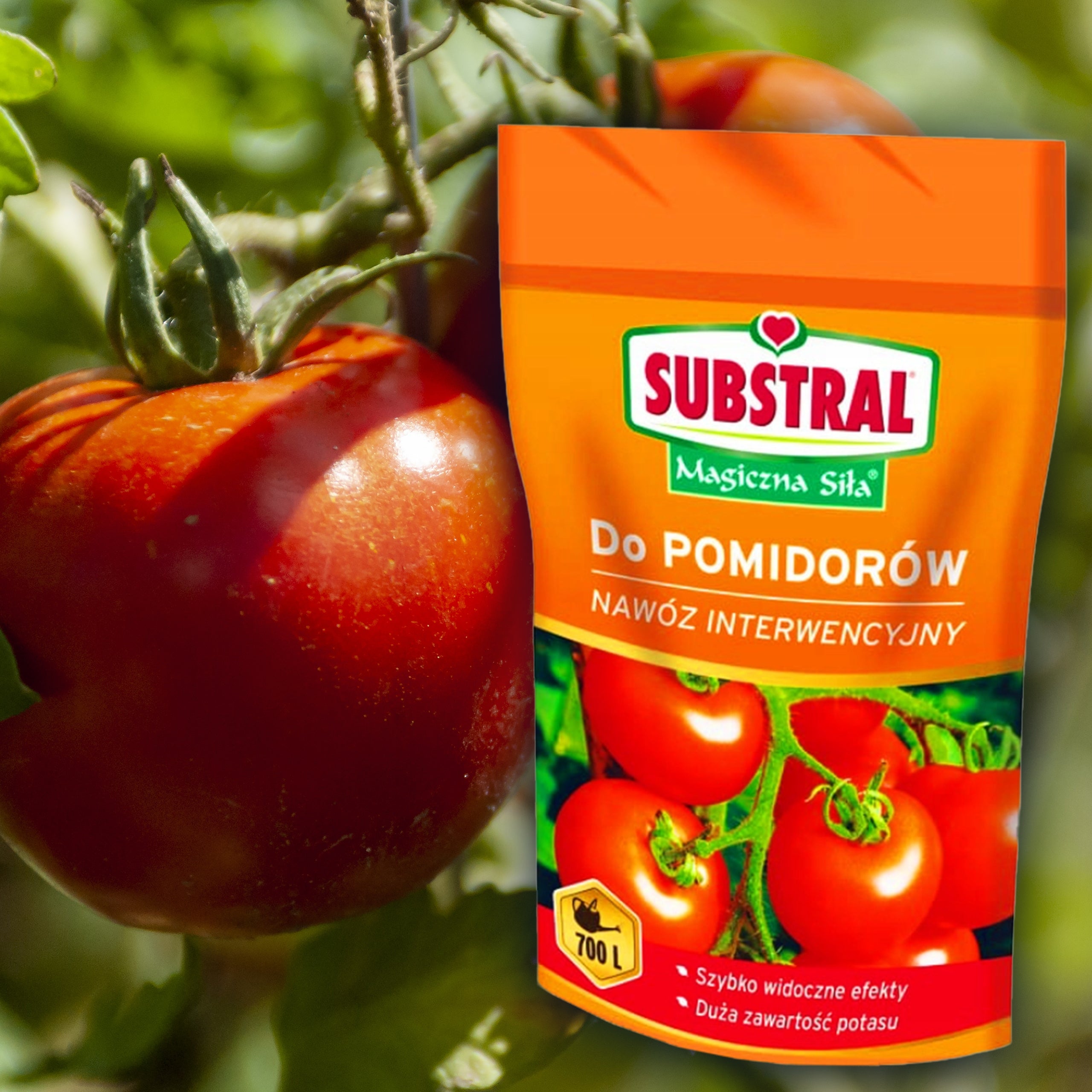 SUBSTRAL MULTICOMPONENT PREPARATION FERTILIZER STRONG AGENT FOR TOMATOES 350 G Manufacturer code SUBSTRAL NAWÓZ POMIDORY 350 G