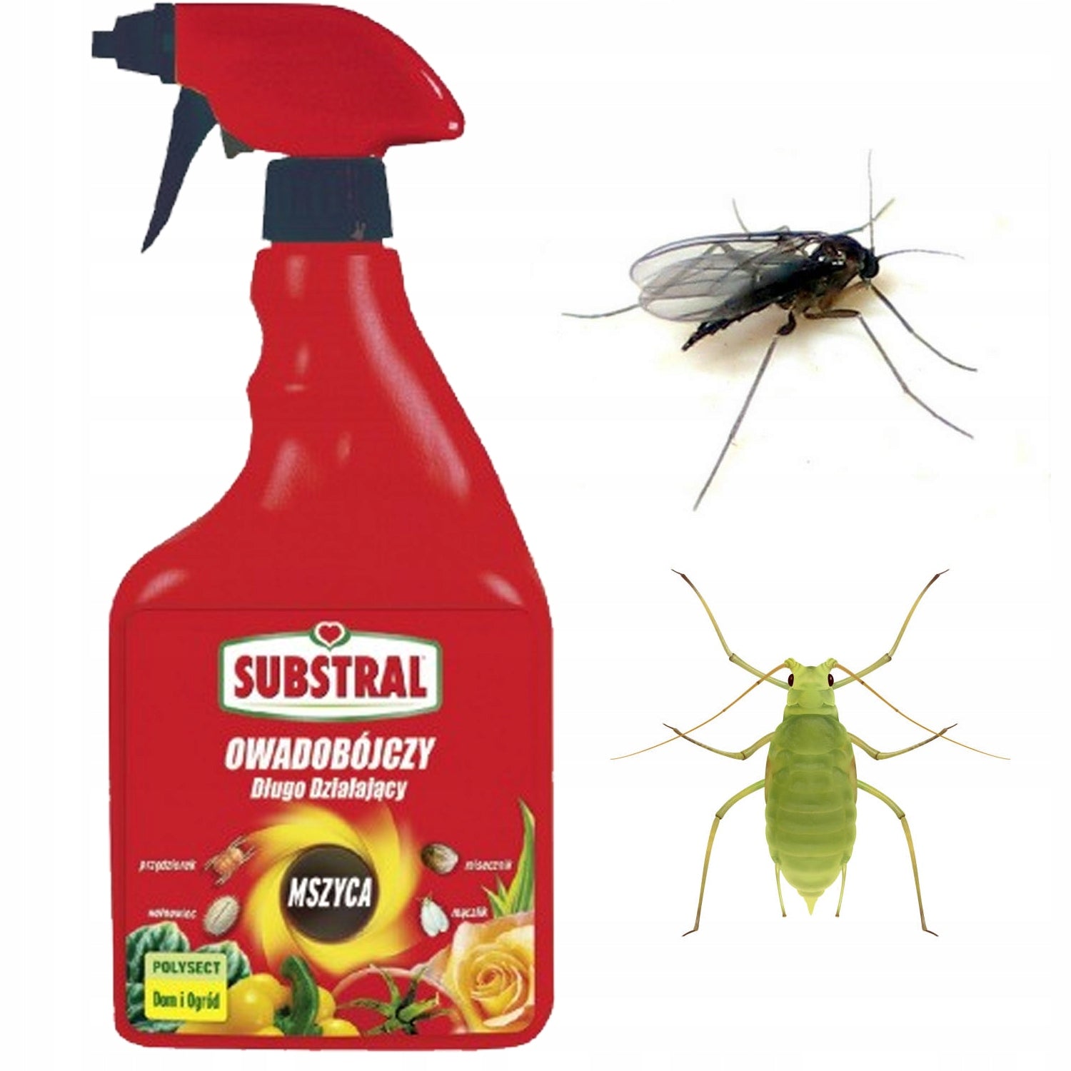 SUBSTRAL POLYSECT APHID THYROID SPRAY INSECTICIDE 750 ML