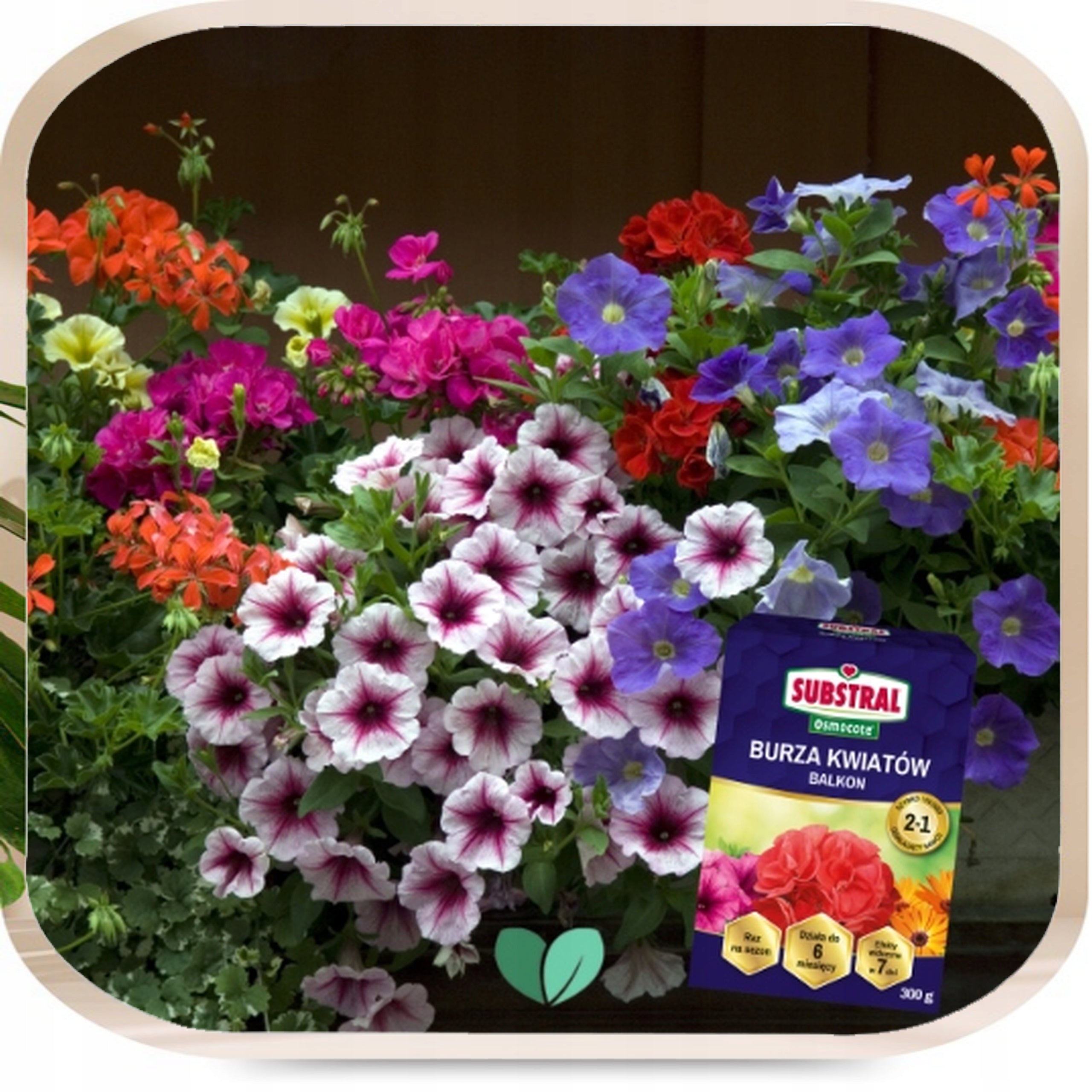 SUBSTRAL Storm of Flowers Long-acting Fertilizer for Pelargonia Surfinii 300g Packaging status original