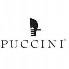 SUITCASE LARGE PUCCINI PARIS ABS03A-5A GREEN Width (longer edge) 52 cm