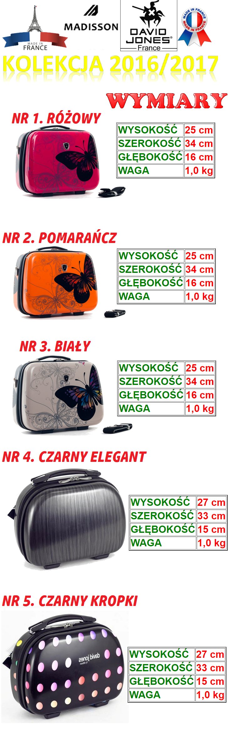 SUITCASE LARGE SUITCASE CARRY-ON BAG CARBON Model MADISSON