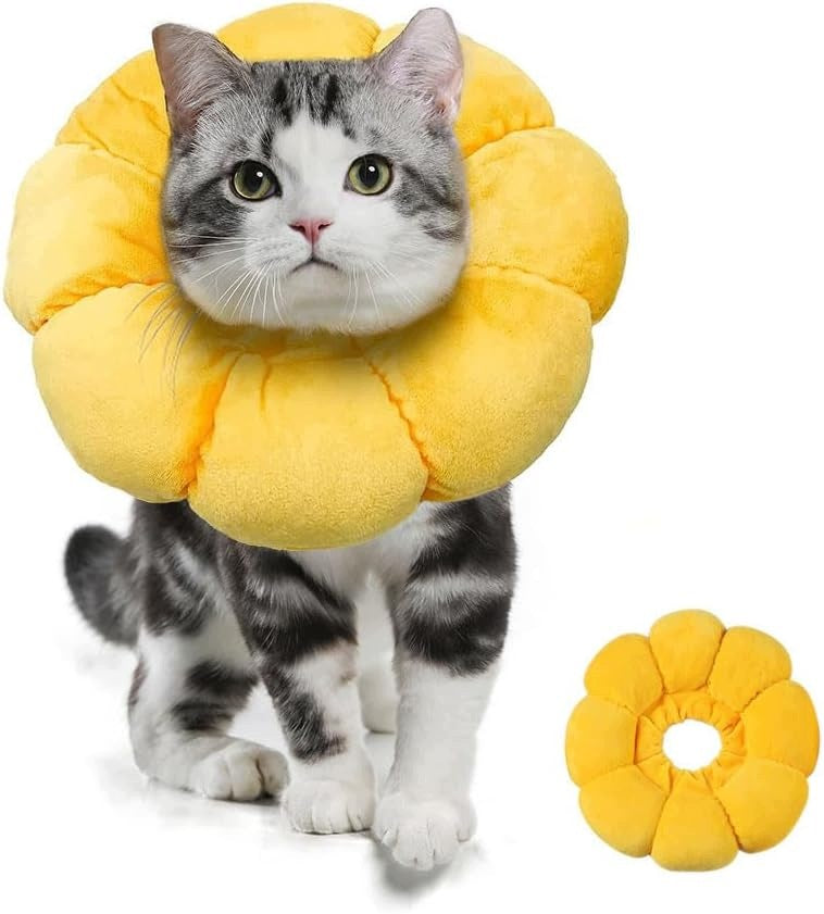 SUNFLOWER REGENERATION COLLAR FOR CATS AND DOGS SIZE M