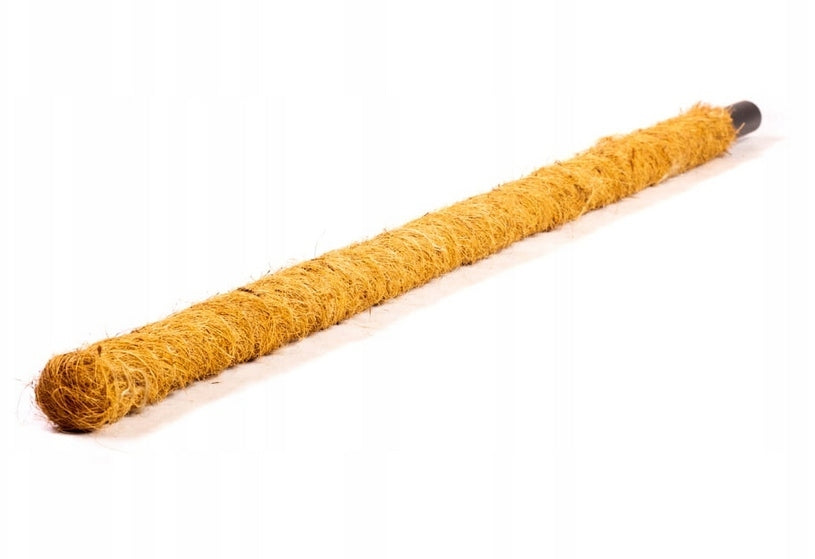 SUPPORT COCONUT STAKE 80CM POLE FOR MONSTERA PLANT FLOWERS 1pc. EAN (GTIN) 5907633275254