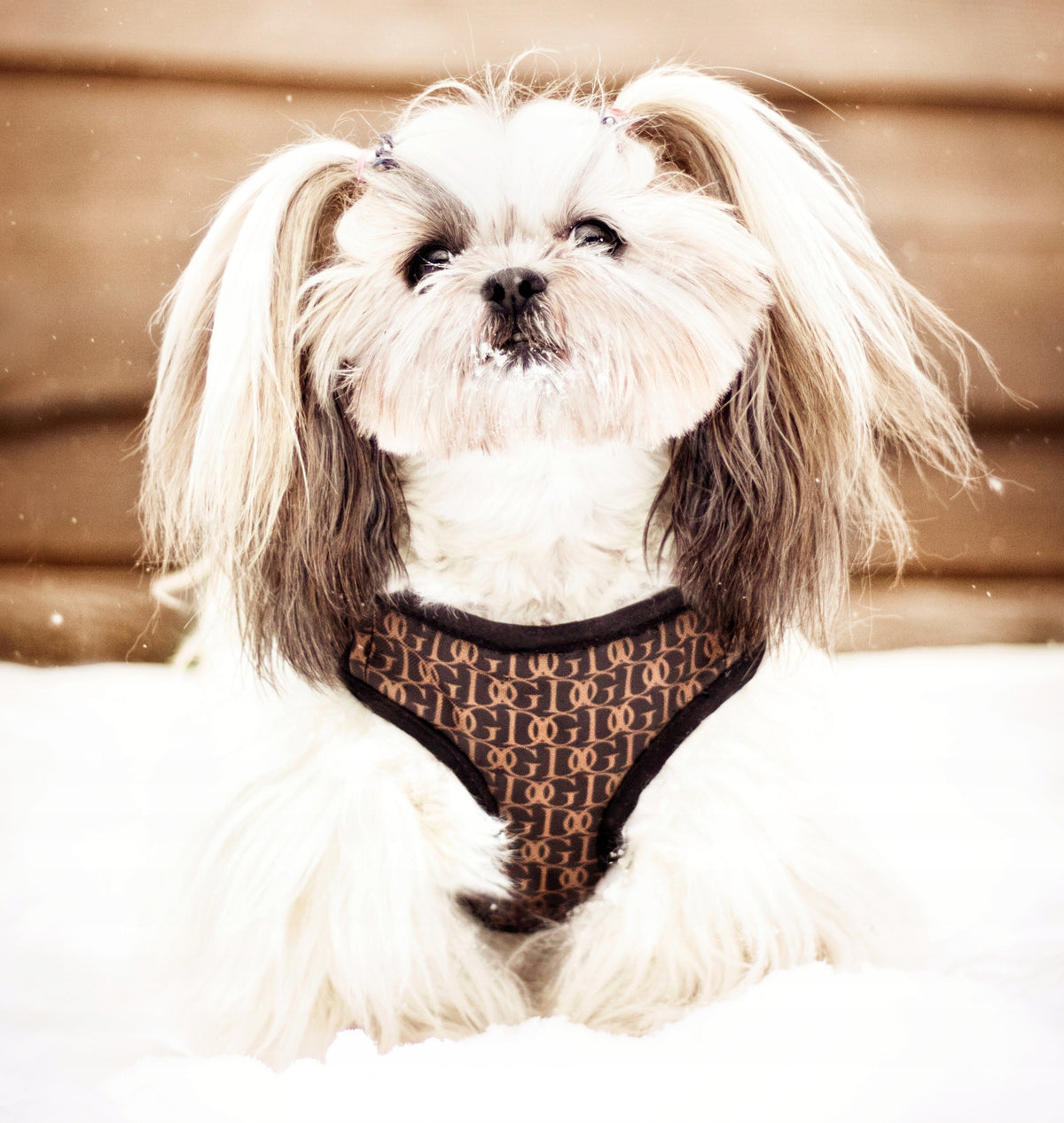 SUSPENDERS BUILT FOR SMALL DOG FASHON SIZE 1 WHITE-BLACK Manufacturer code 646345