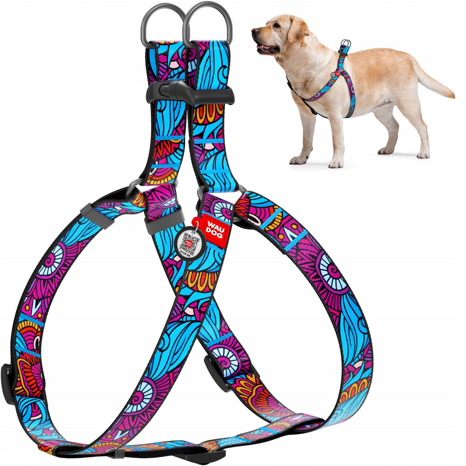 SUSPENDERS FOR MEDIUM DOGS WAUDOG SUMMER 50-80 CM 20 MM NYLON + ADDRESS CARD QR EAN (GTIN) 4823089312453