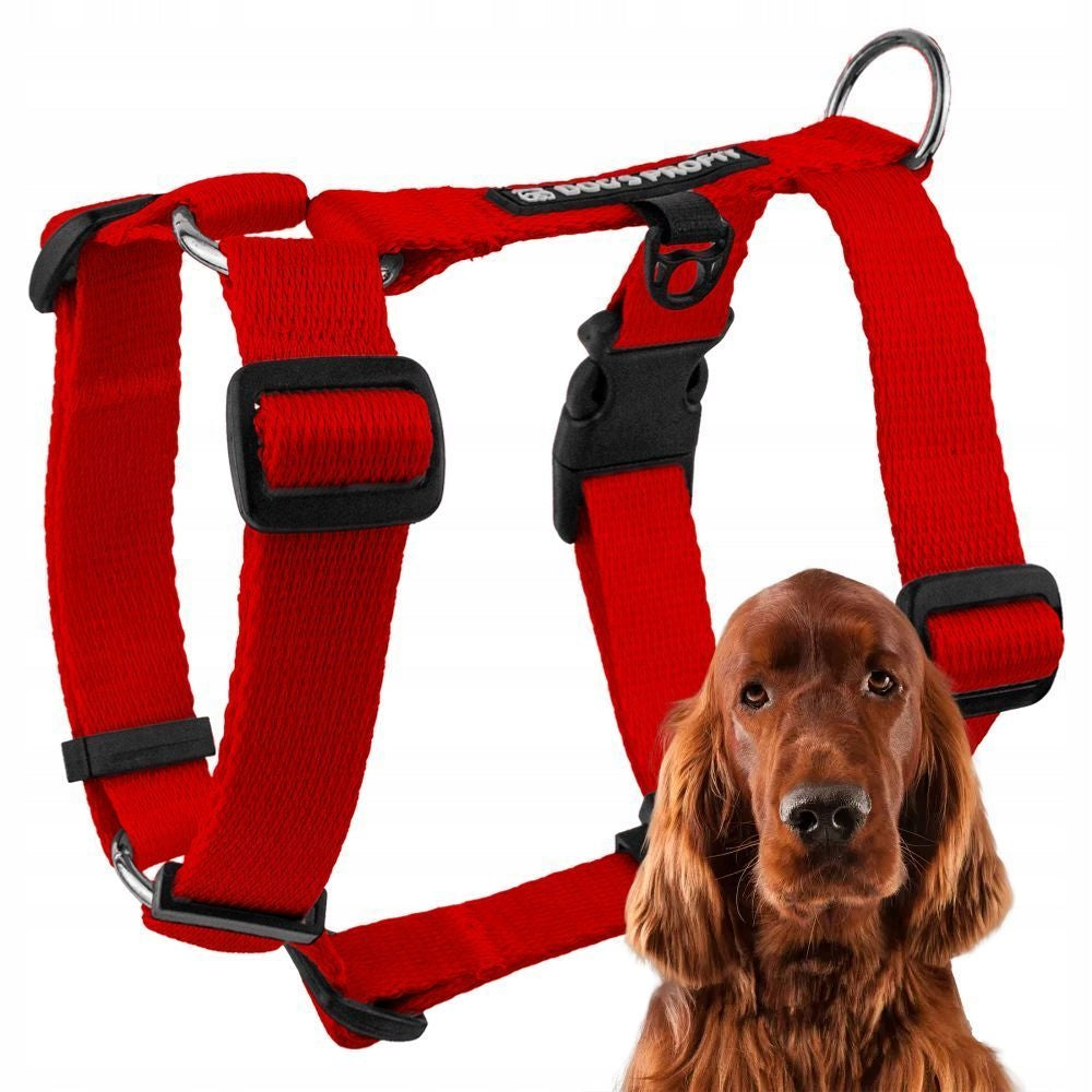 SUSPENDERS MEDIUM DOG GUARD RED COLOR M DESIGN SMOOTH DOG’S PROFIT
