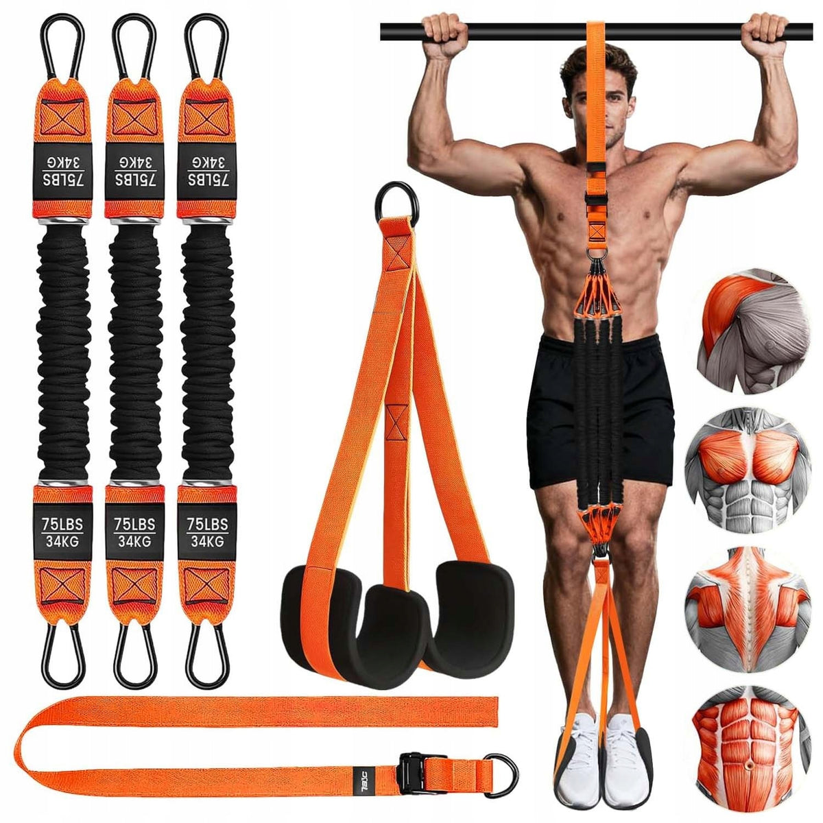 SUSPENSION EXERCISE BELTS CROSS TRAINING ADJUSTABLE 75LBS-225LBS