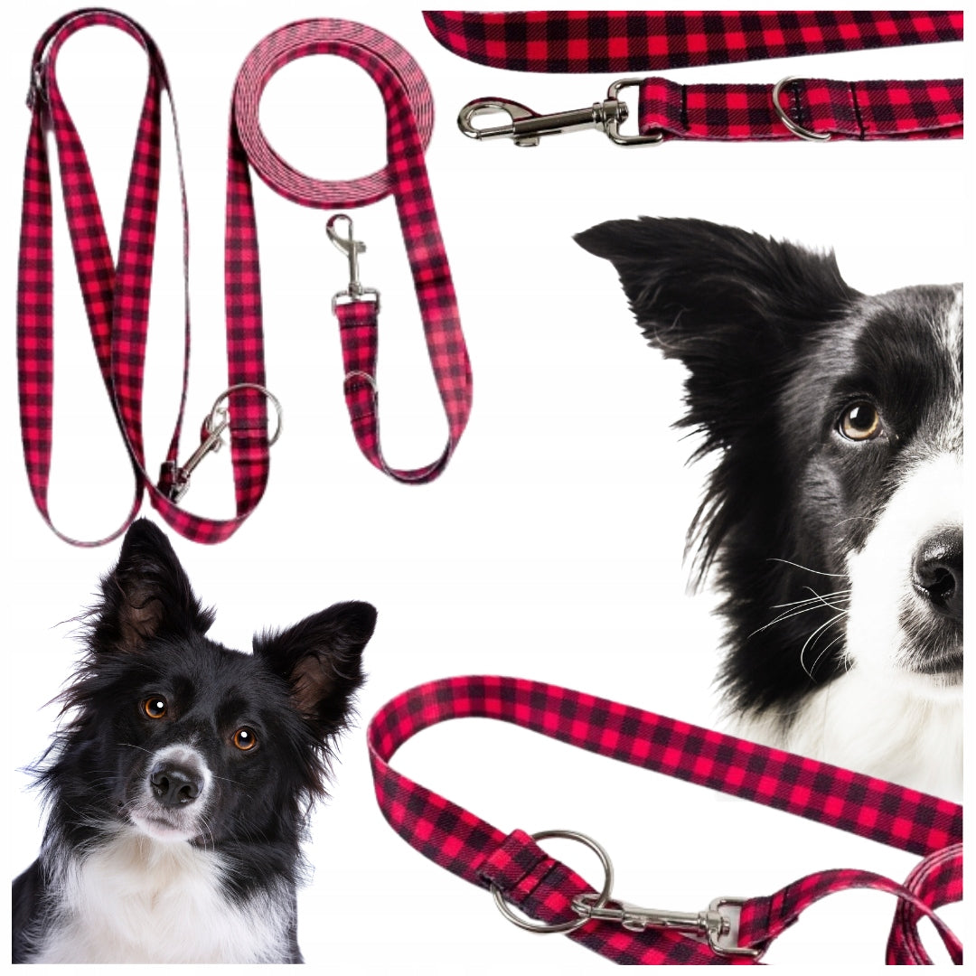 SWITCHABLE DOG LEASH TRAINING TAPE GRID 2 CARANES 2.4M 25MM