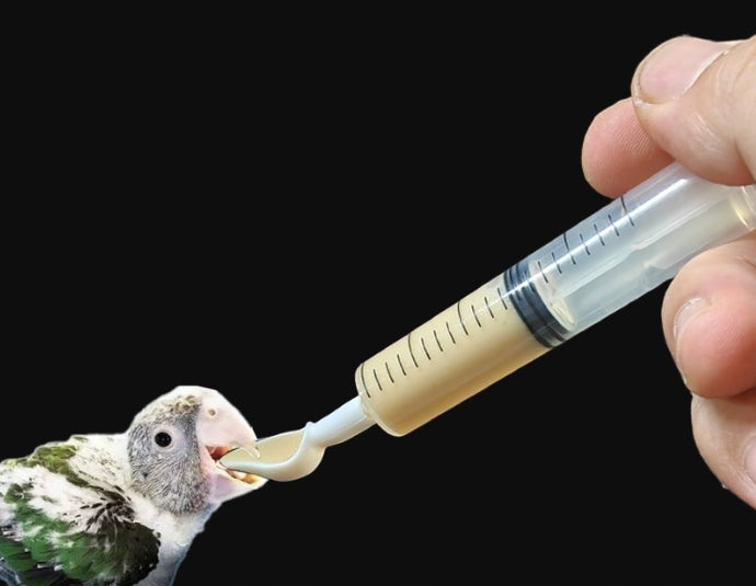 SYRINGE WITH TUBES FOR MANUAL FEEDING OF HEDGEHOG BIRD CHICKS Brand no brand