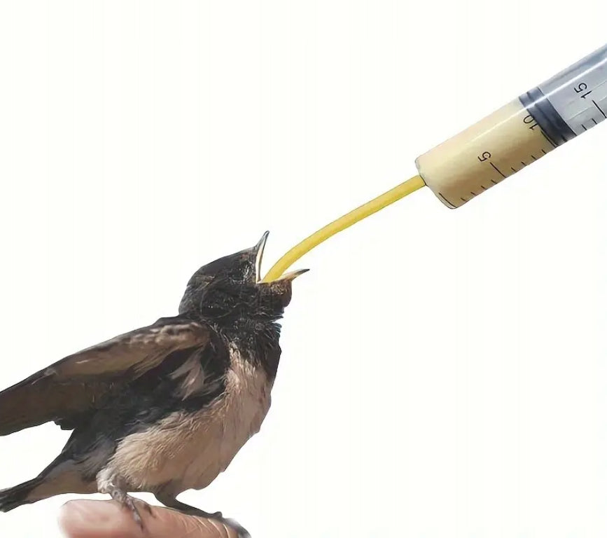 SYRINGE WITH TUBES FOR MANUAL FEEDING OF HEDGEHOG BIRD CHICKS Capacity 0.02 l