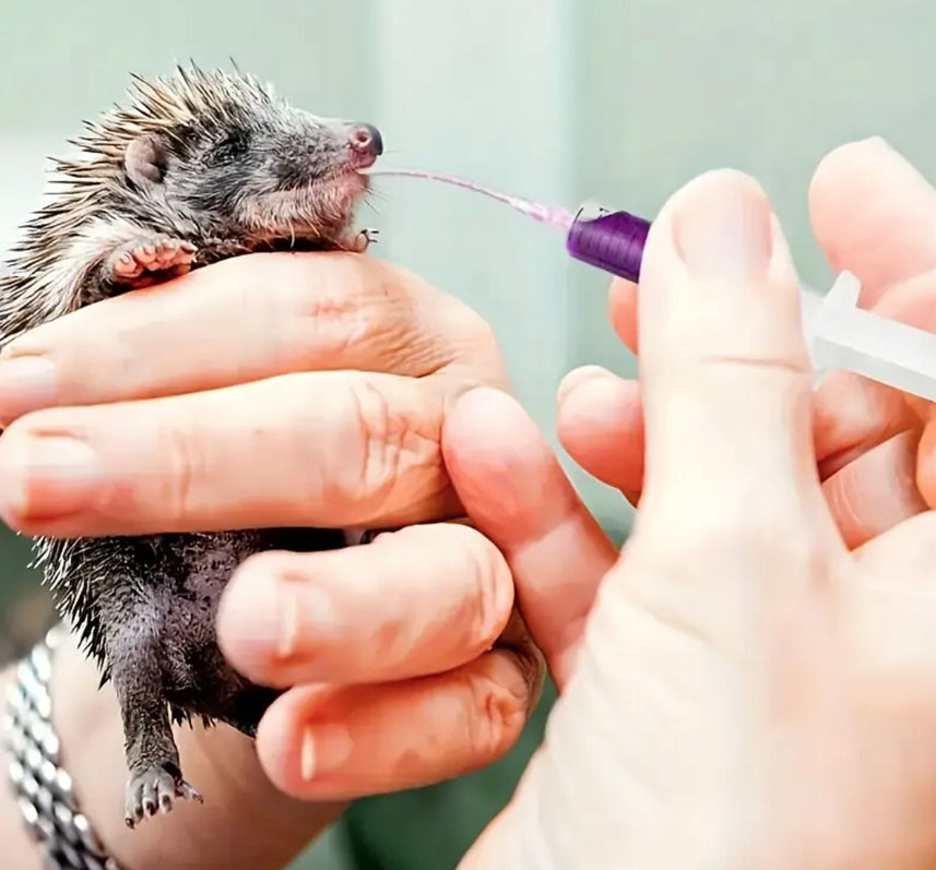 SYRINGE WITH TUBES FOR MANUAL FEEDING OF HEDGEHOG BIRD CHICKS Trade name STRZYKAWKA Z RURKĄ DO RĘCZNEGO KARMIENIA ZWIERZĄT PISKLĄT PTAKÓW JEŻY