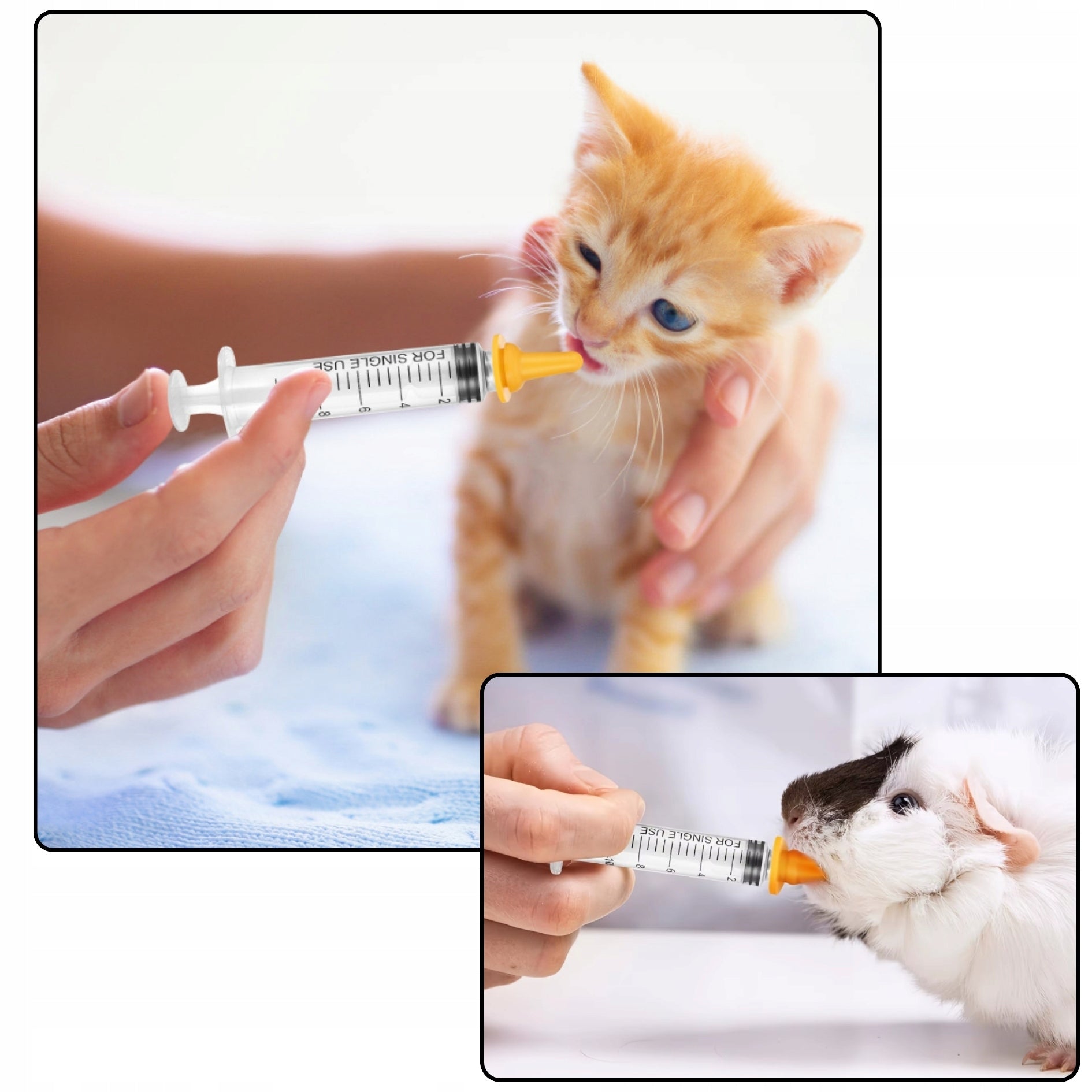 SYRINGES DOG FEEDING BOTTLE KITTEN PUPPIES + PACIFIERS Color white
