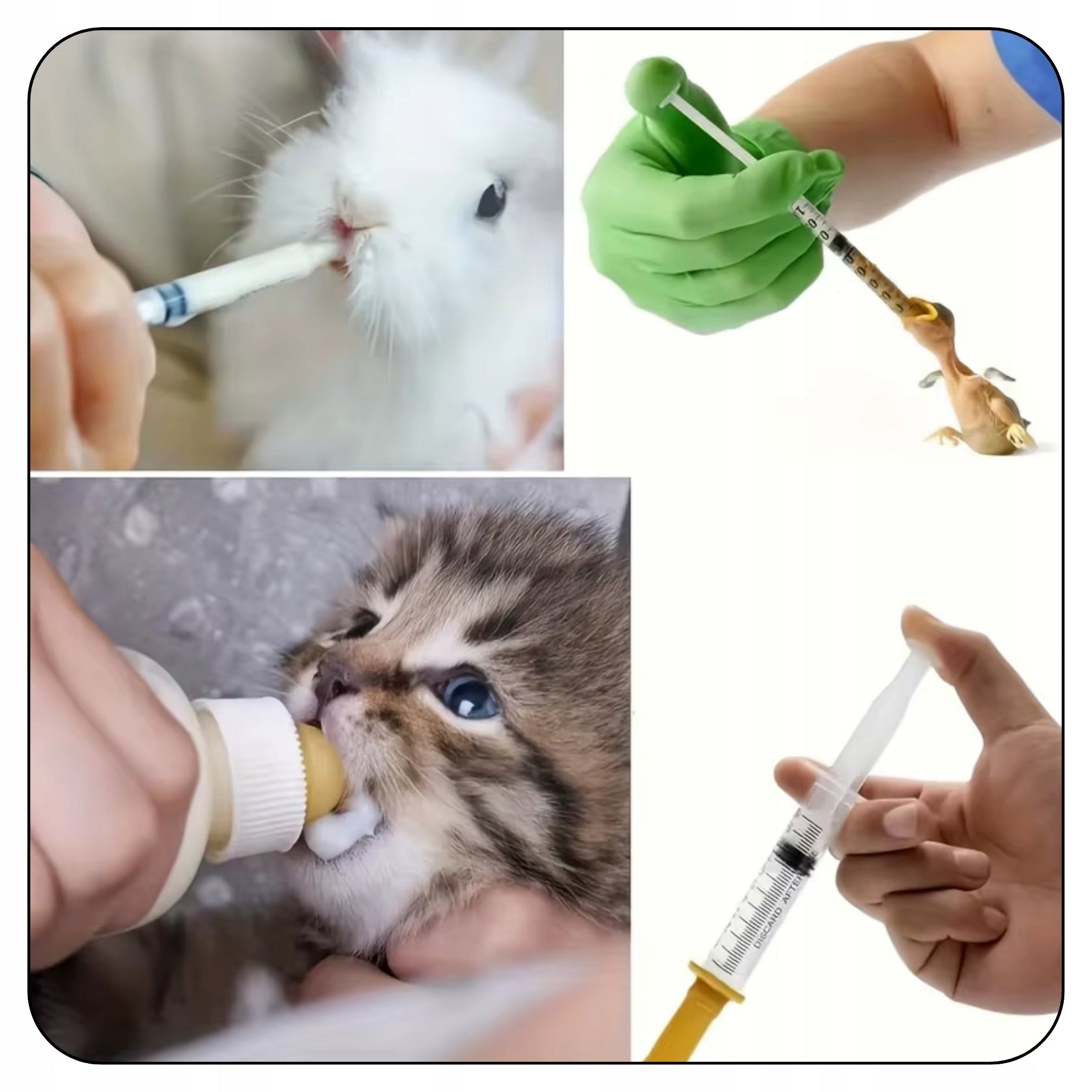 SYRINGES DOG FEEDING BOTTLE KITTEN PUPPIES + PACIFIERS Material silicone