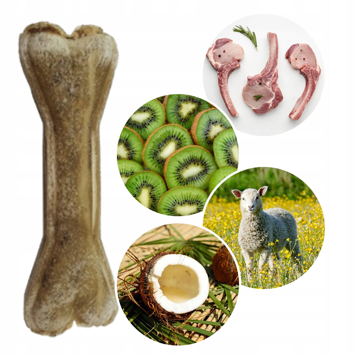 SYTA MICHA Chewing bone for dog KIWI + COCONUT teether 13,5 cm WITHOUT GRAINS Packaging status original
