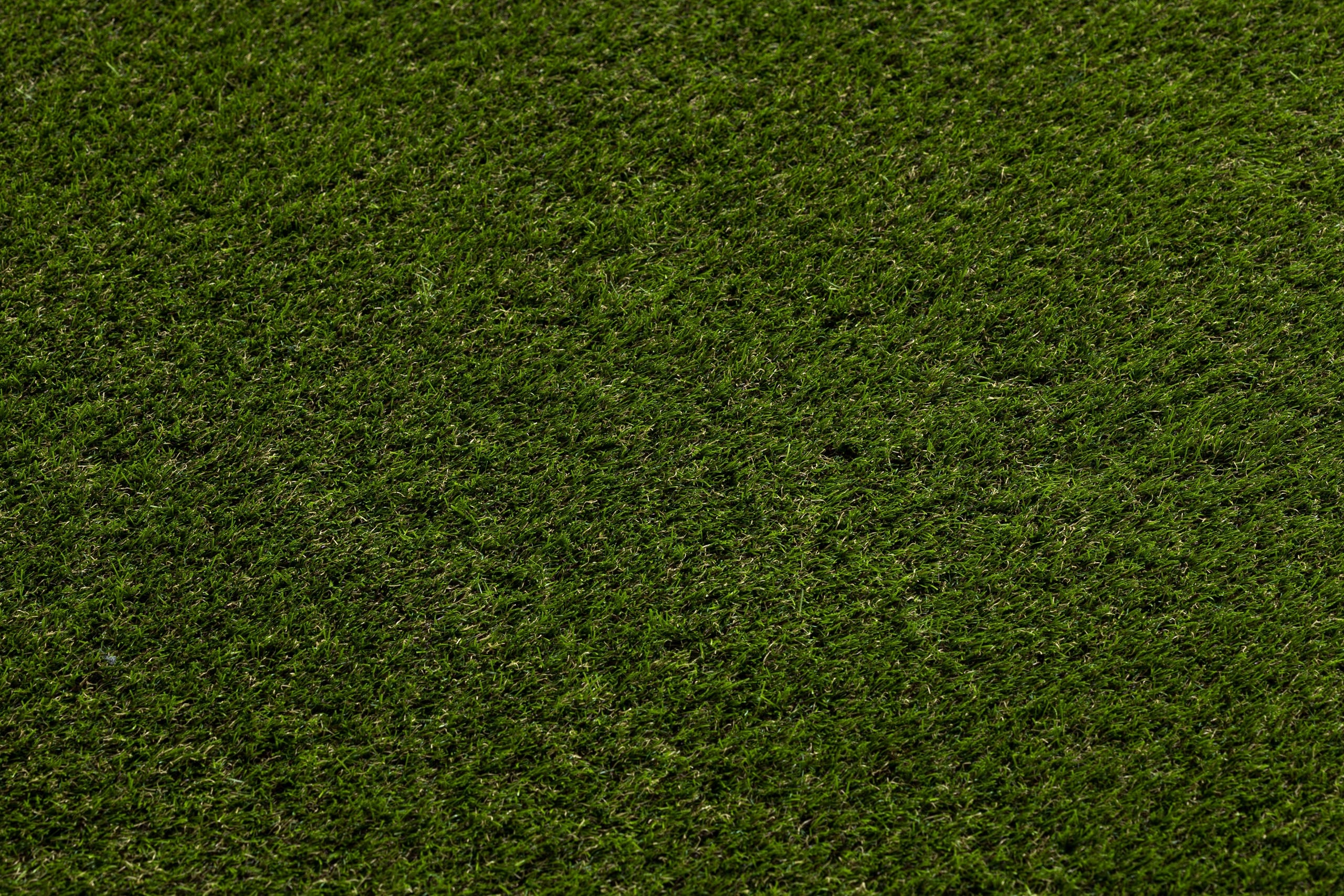 Rugsx Teppichweg Linea 100x970 cm 