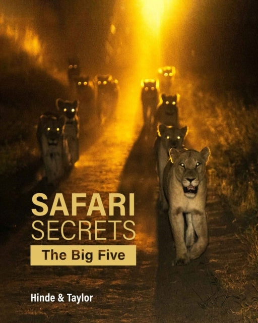 Safari-Geheimnisse: Die Big Five 