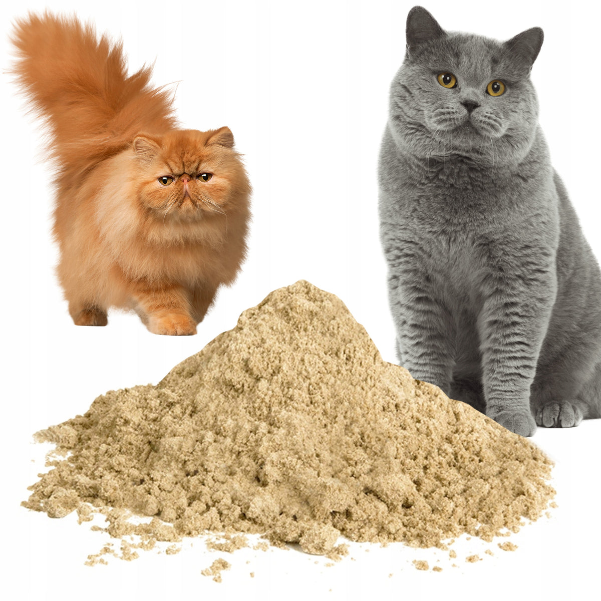Safe Sand for Cat Cuvette 25KG