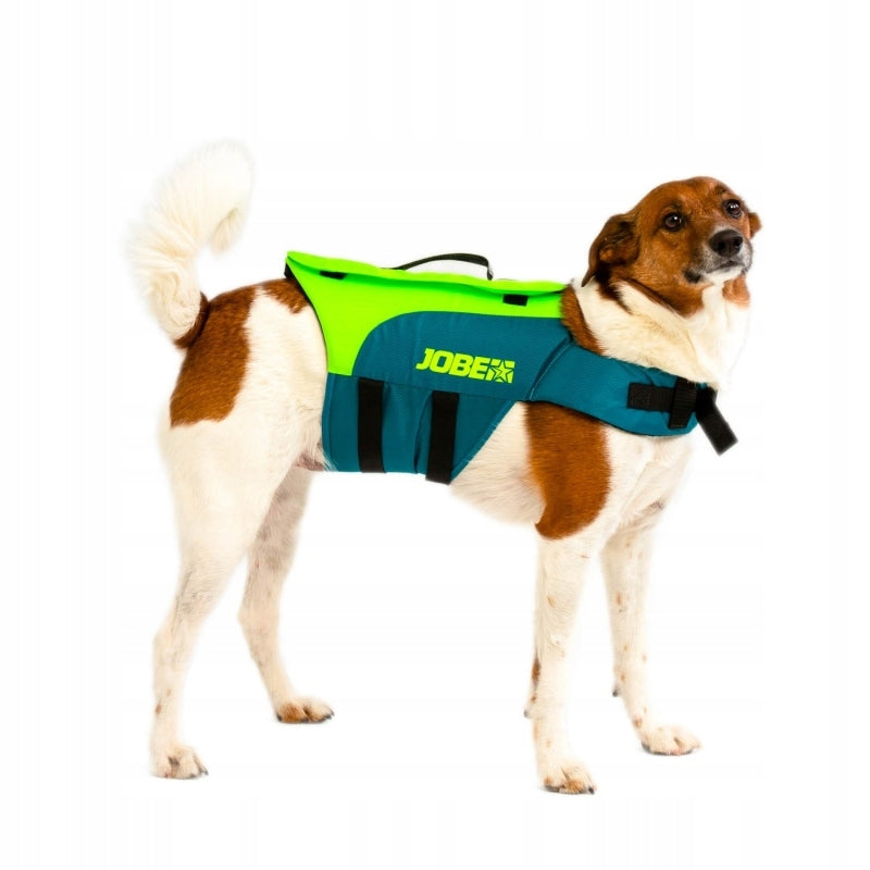 Safety vest for dog Jobe Lime Teal Roz M