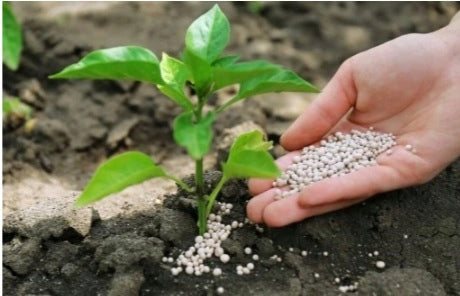 Saletra ANVISTAR Nitrogen fertilizer ORLEN GROUP granules 25 kg Manufacturer code Saletra Amonowa Nawóz do Trawy ogrodu 25kg