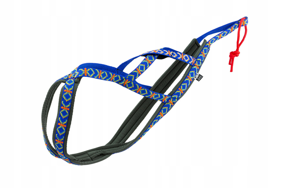 Sali.pl Harness SLED size M Indian blue