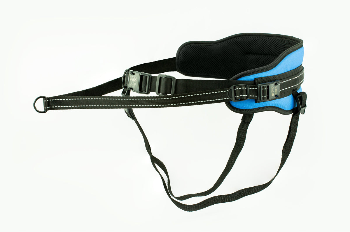 Sali.pl Waist belt BOLD FLASH red Manufacturer code Pas biodrowy BOLD FLASH
