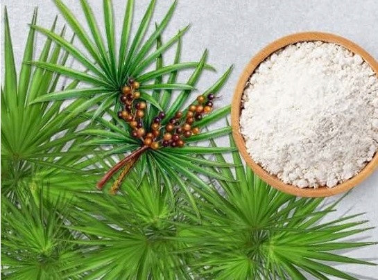 Saw Palm Extract SAW PALMETTO 50G Medical device no
