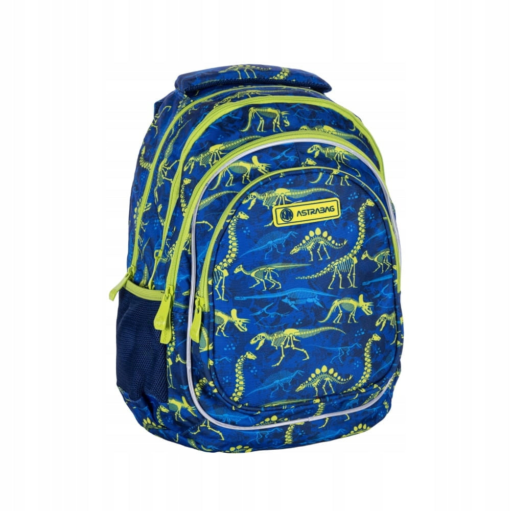 School Backpack For Boy Class 1 - 3 Multi-Chamber Blue 20 L