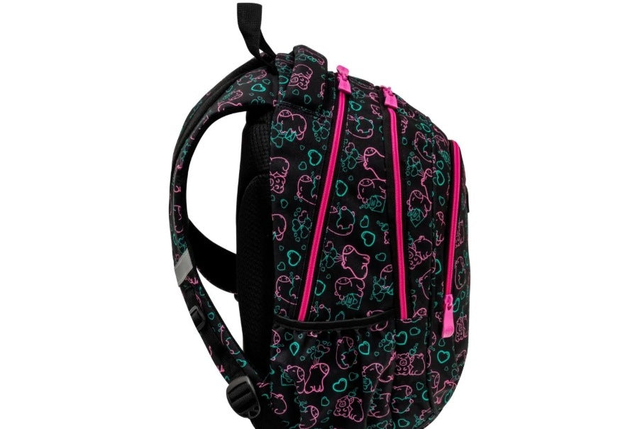 School backpack AstraBAG Premium Astra Basic cabin Manufacturer code 560127