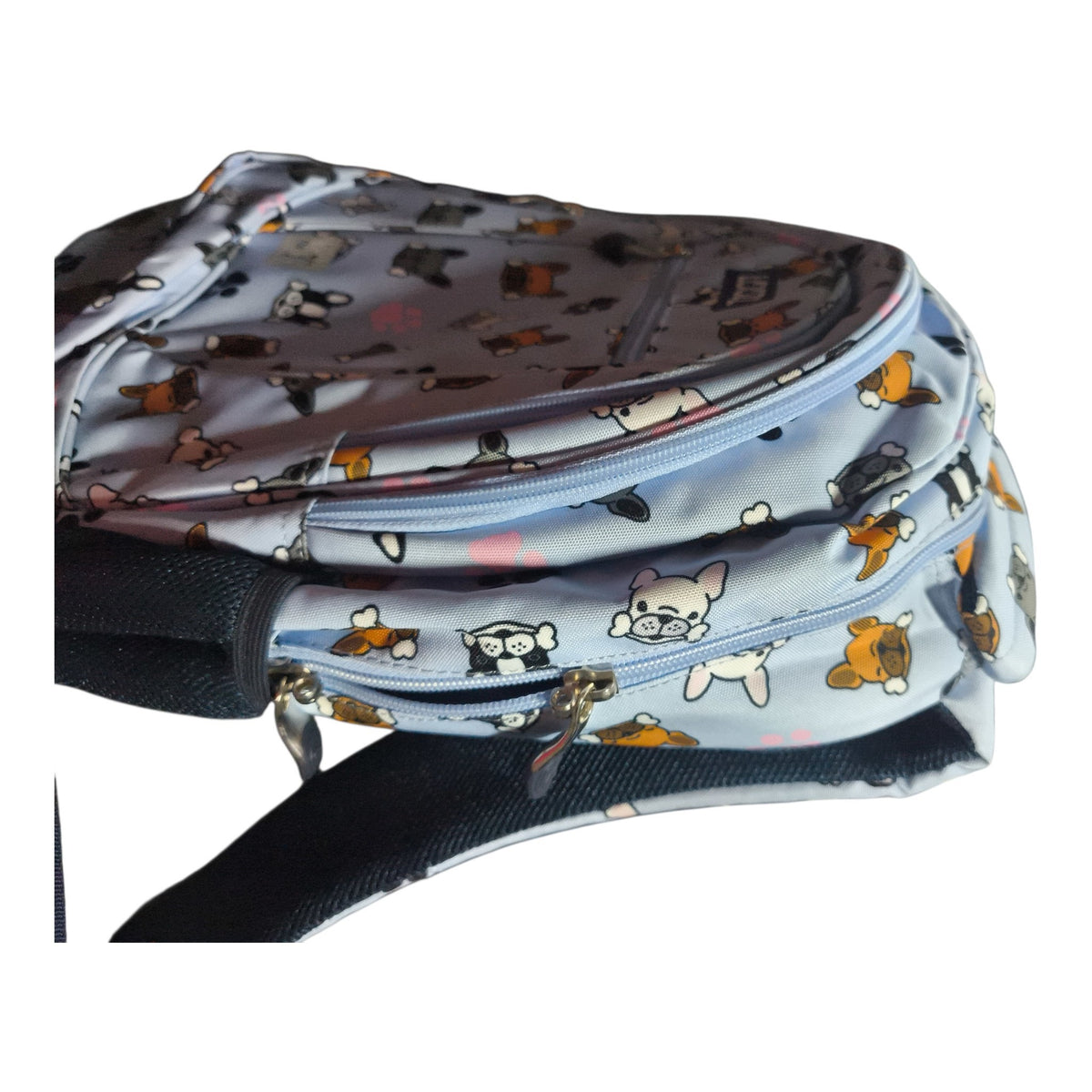 School backpack LOOZZ Dog Bulldogs 3-chamber A4 ergonomic