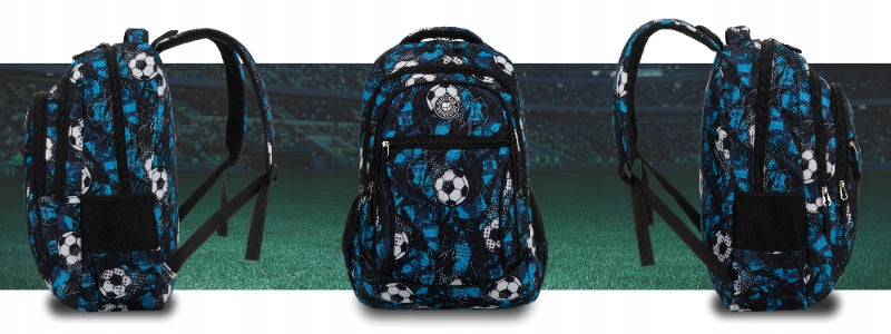 School backpack Peterson PTN Ladybug 45 cm 2 compartments polyester Brand Peterson