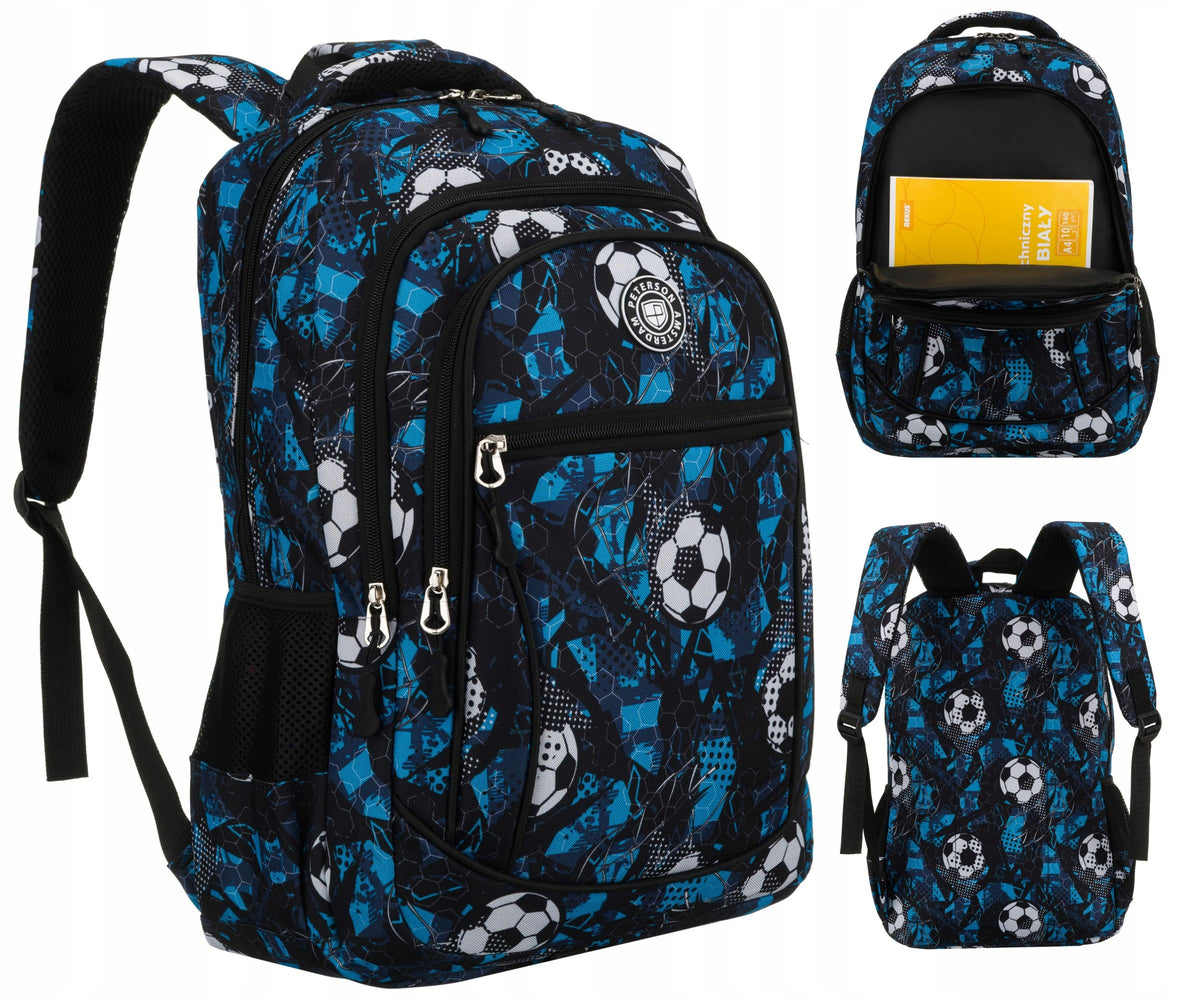 School backpack Peterson PTN Ladybug 45 cm 2 compartments polyester