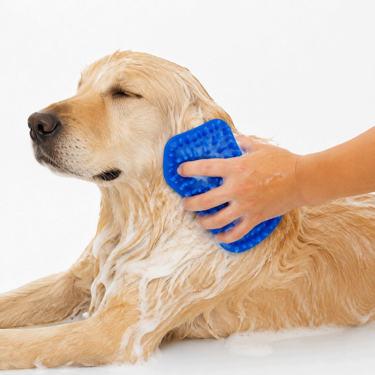 Scraper Rubber for Pet Undercoat Washer Waterproof Ma