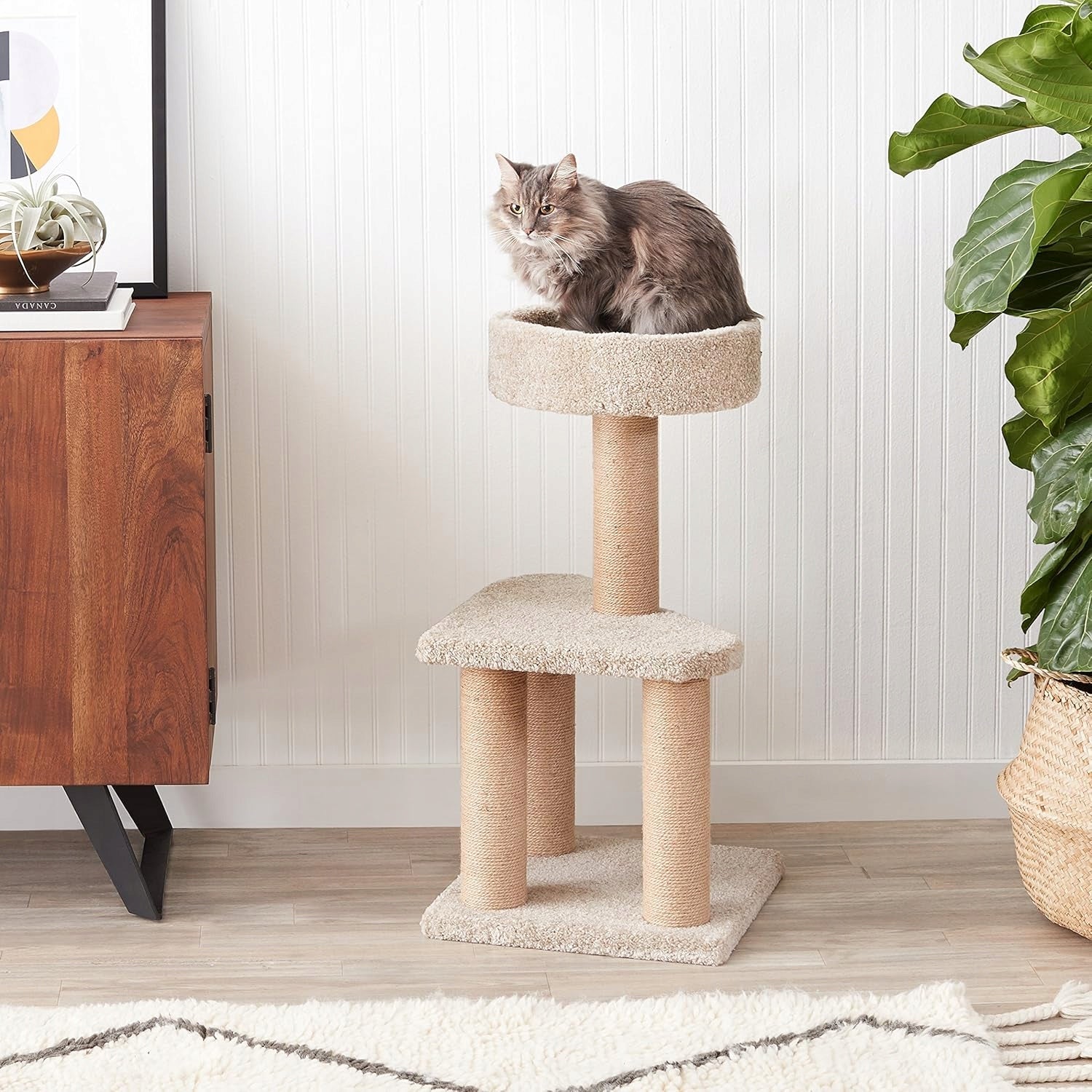 Scratcher for BIG cat AMAZON Basic CAT TREE 80 x40 x 40 cm SOLID large Brand Amazon