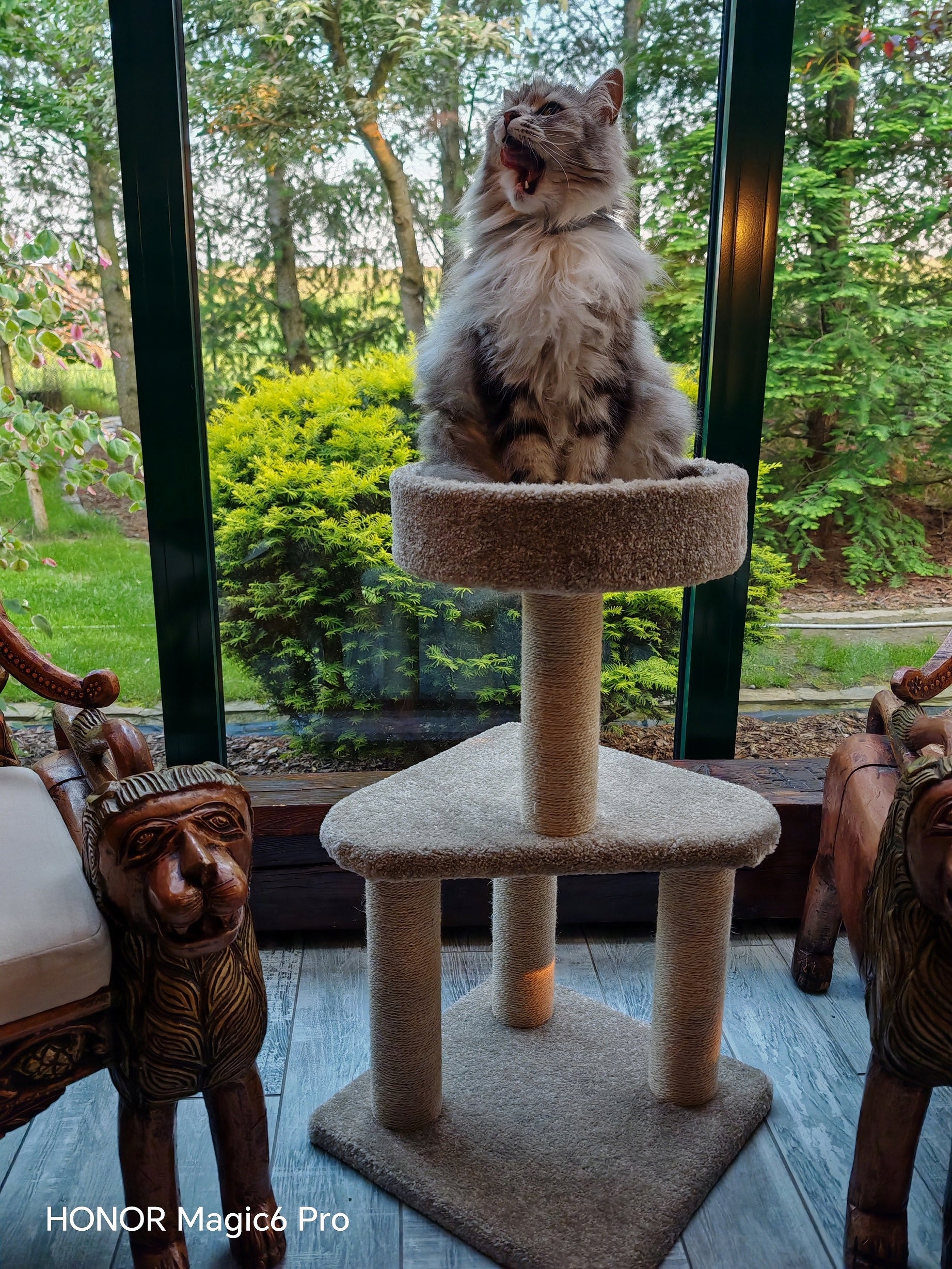 Scratcher for BIG cat AMAZON Basic CAT TREE 80 x40 x 40 cm SOLID large Color beige
