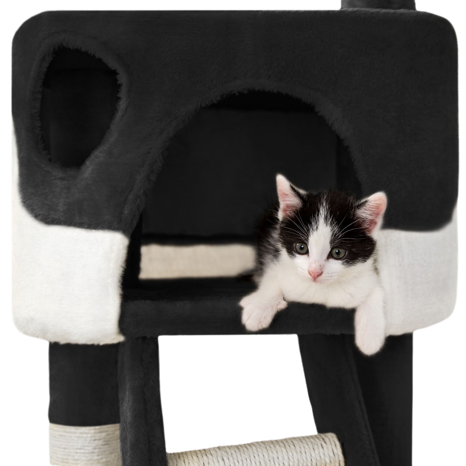 Scratcher for cat Hansi 243-260 cm Height (cm) higher than 220 cm