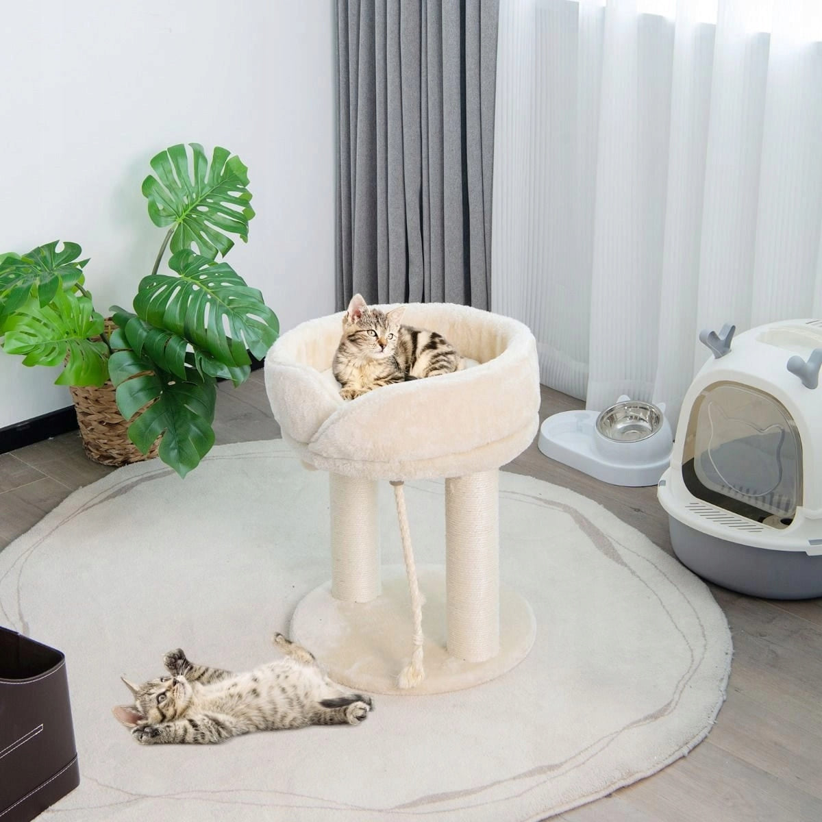 Scratcher low, bed Costway up to 60 cm Height (cm) up to 60 cm