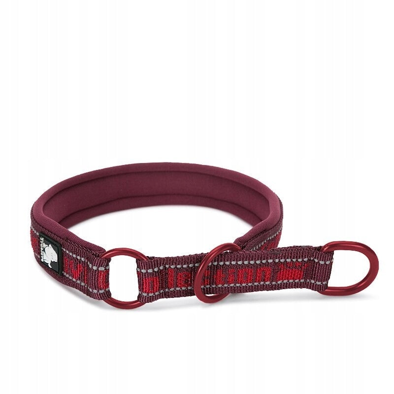 Semi-clamp collar for dog Truelove Funky L