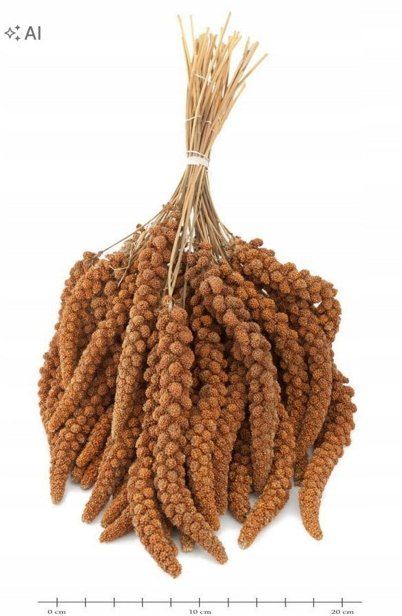Senegalské proso v klasech 150g pro hlodavce a ptáky Manufacturer code 0000001117