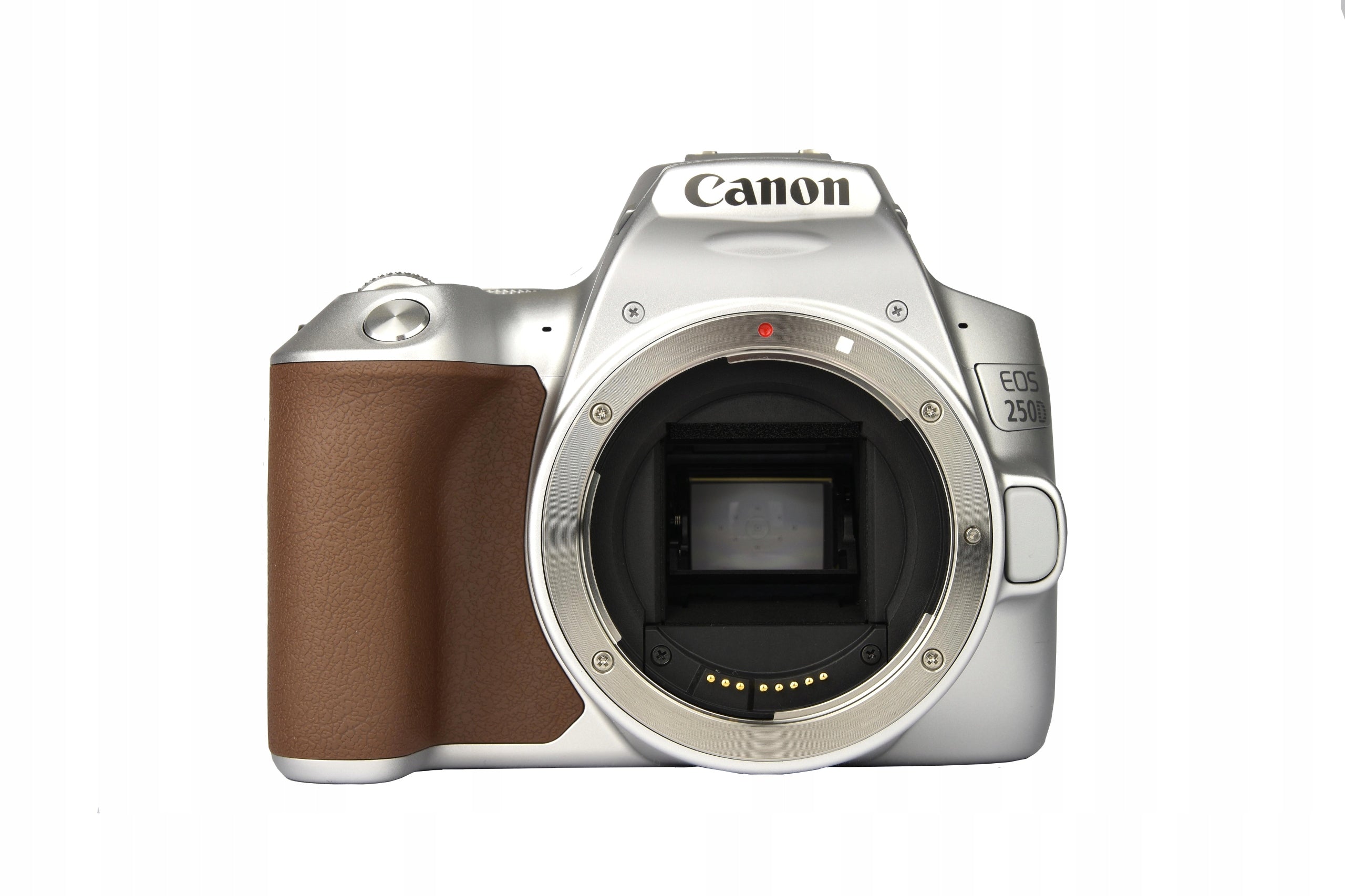 Set Canon 250D + 18-55 IS STM silver Batteries included yes