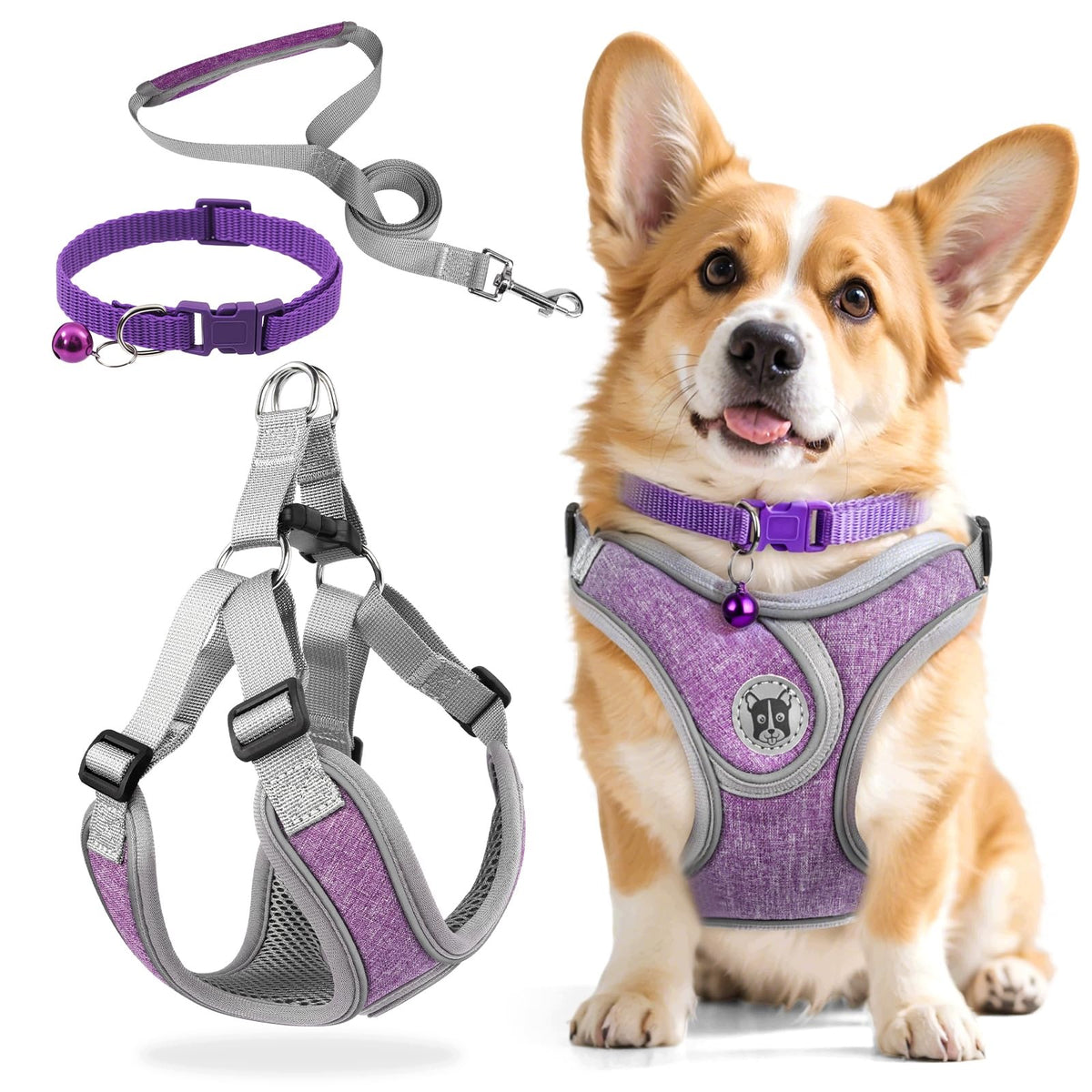 Set Chest Harness and Dog Leash Adjustable Reflective Breathable S
