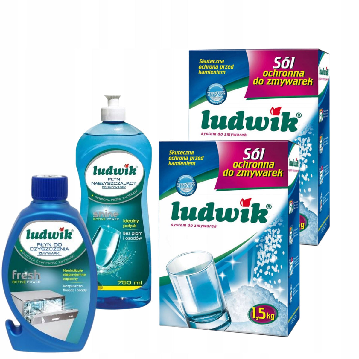 Set Ludwik 2x dishwasher liquid + 2x salt