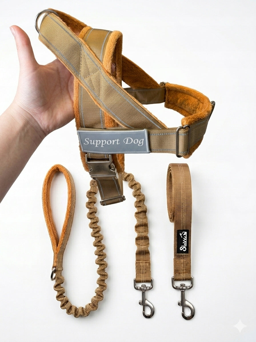 Set for Dog Assisting Pressure-Free Harness S + Lanyard CUSHIONED 150cm