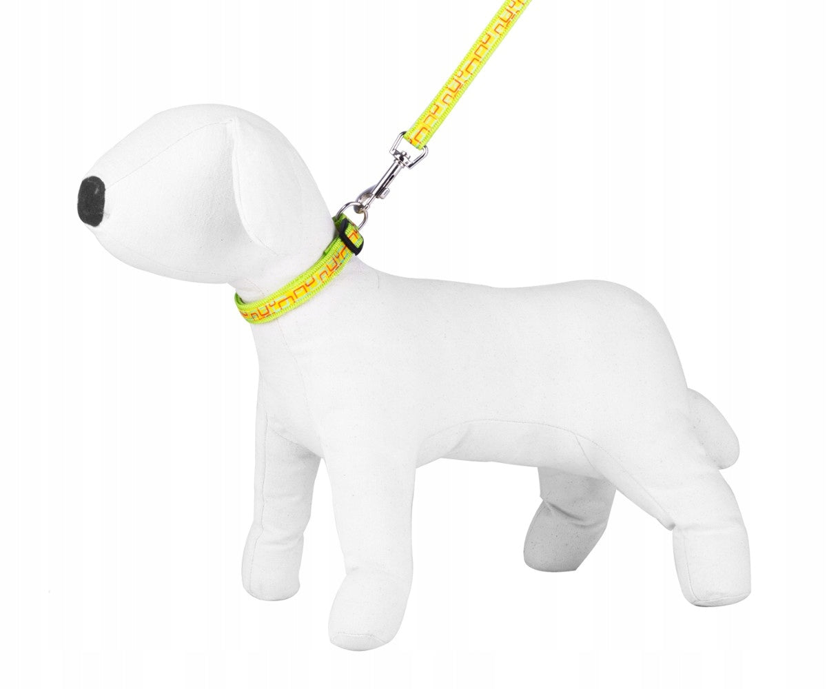 Set leash + collar Happet NT SD43 sq. herb 2 cm.