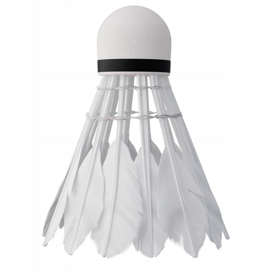 Set of 2 Rockets + 6 Feather Darts for Playing Badminton in NILS Cover Manufacturer code NRZ205 i NBL6206