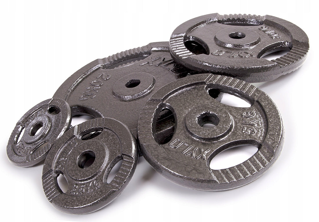 Set of CAST IRON LOADS 10KG plates CAST IRON circulation WEIGHTS discs METAL Manufacturer code MASTER_10