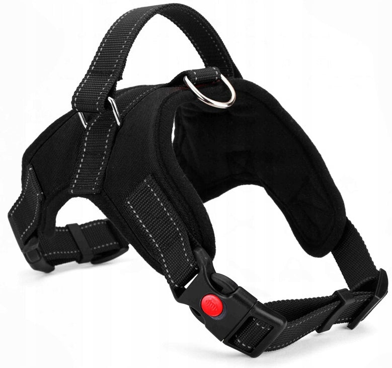 Set of Walking Harness BLACK size XL + LANYARD