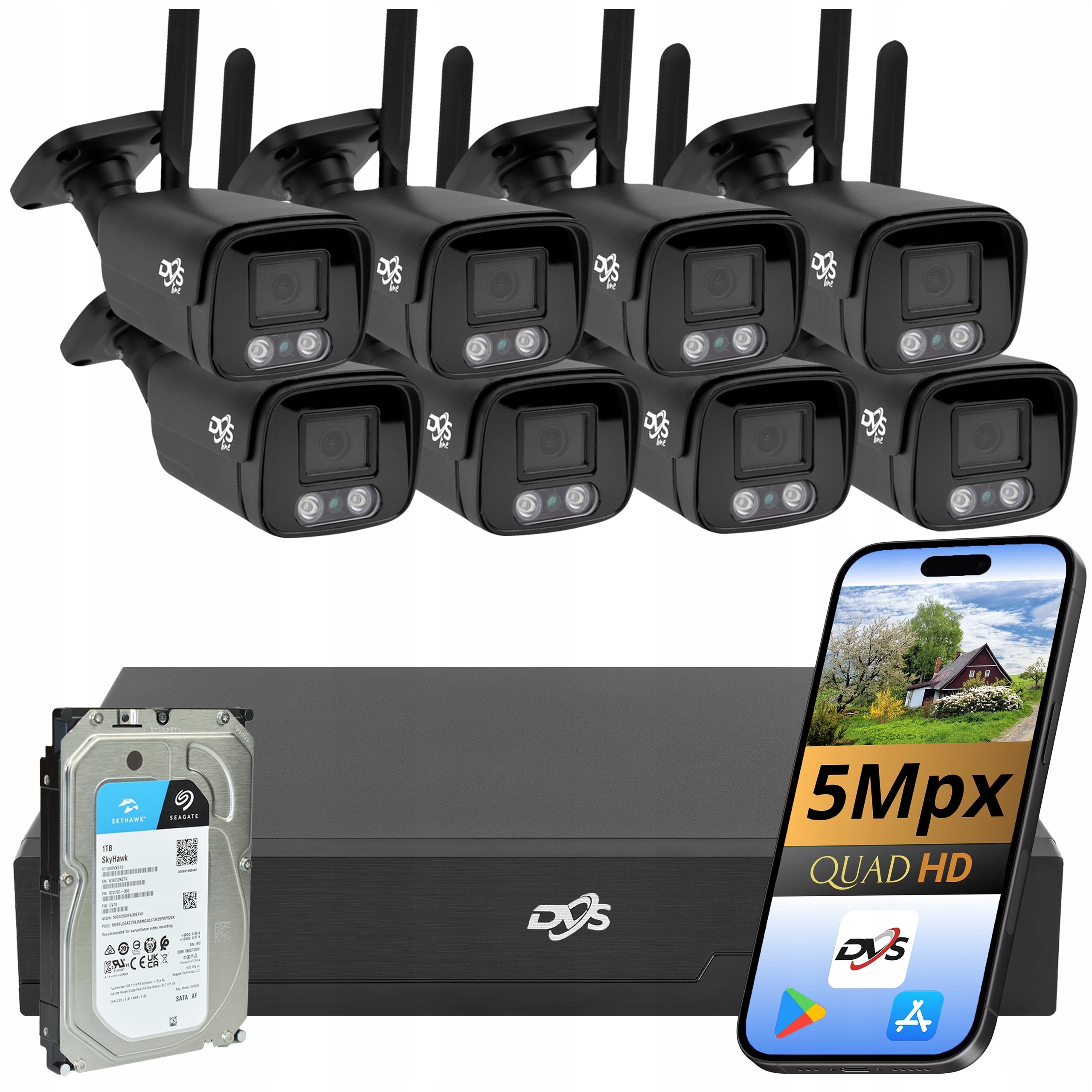 Set of cameras for WiFi monitoring 8 cameras 5Mpx black DVS DVR 1TB