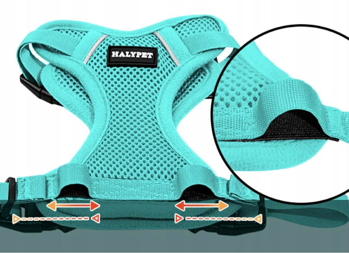 Set of harnesses and leashes for cat Roz. M GREEN HALYPET Manufacturer code OA10063
