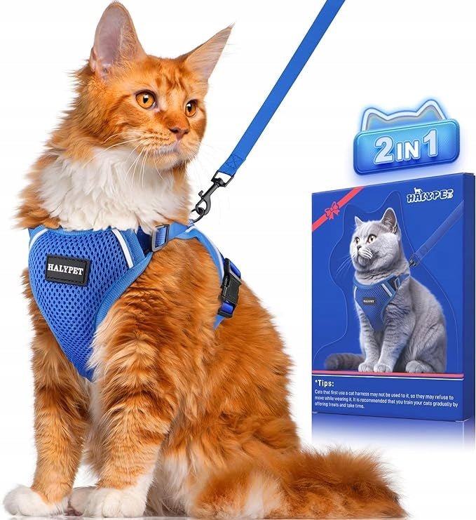 Set of harnesses and leashes for cat Roz. M GREEN HALYPET