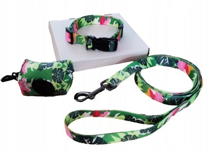Set of leash 150cm + collar size M 30-50cm + Case